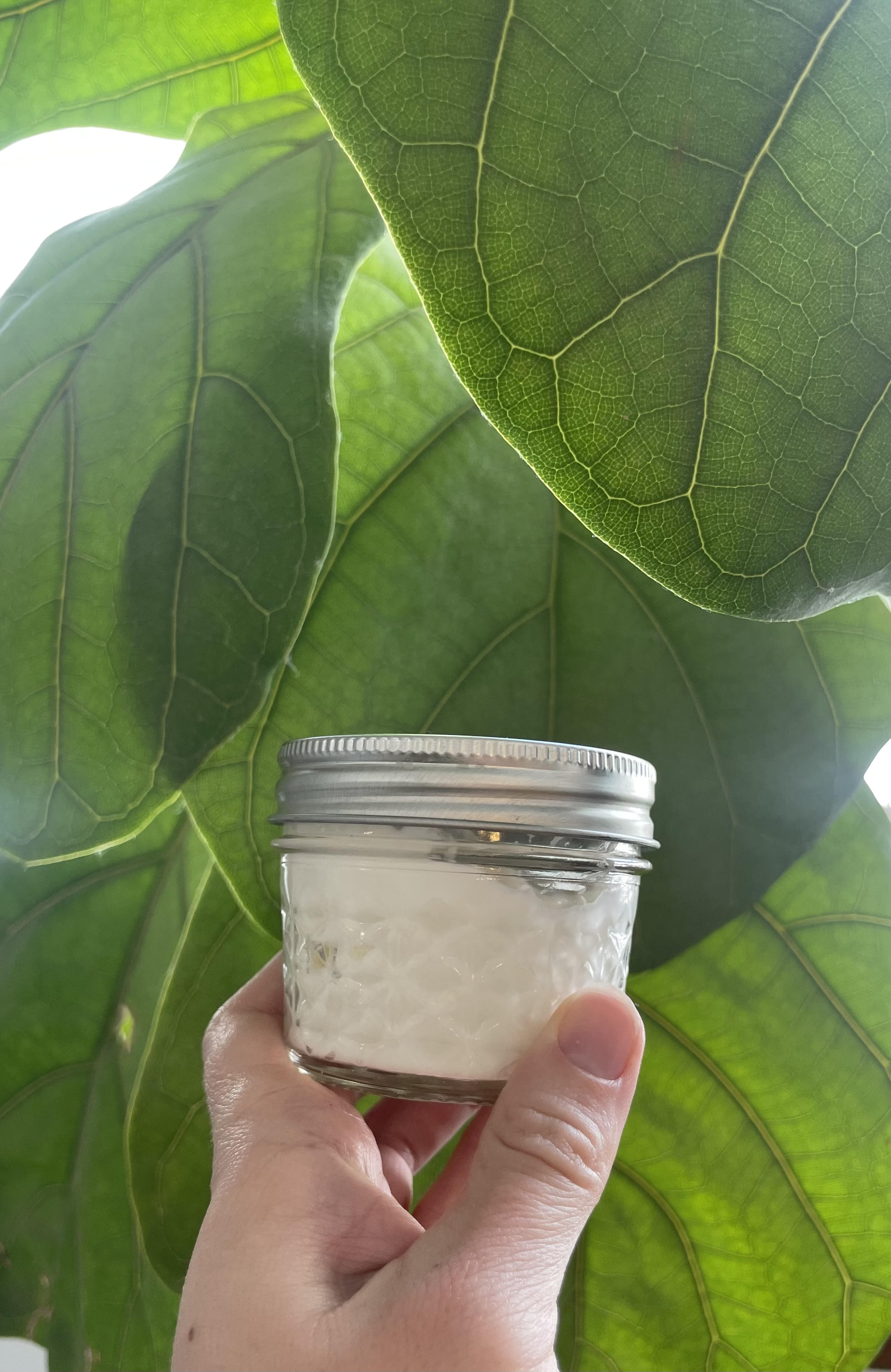 Lamb Tallow Lotion